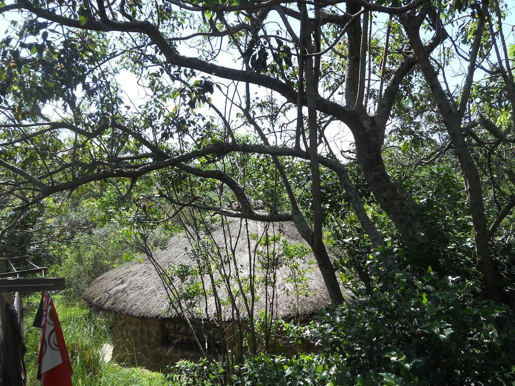 Shapes Of Africa Rustic Stayover Mount Moreland Room photo